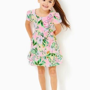 Lilly Pulitzer Alexandra Dress 8 nwt